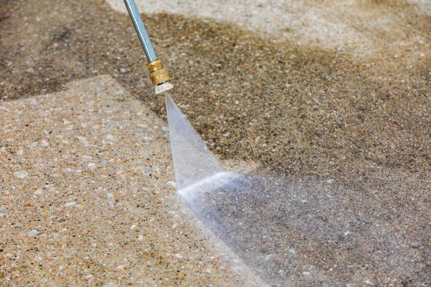 Best Animal Enclosure Cleaning  in Galveston, TX